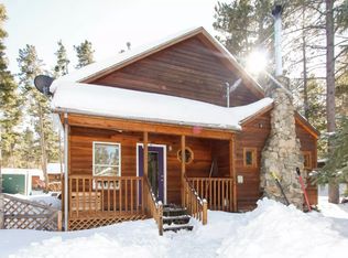 624 W Pine St, Nederland, CO 80466