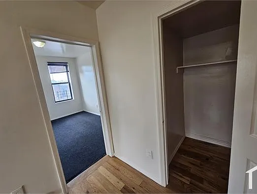 1167 Willmohr St #2 — Photo 6