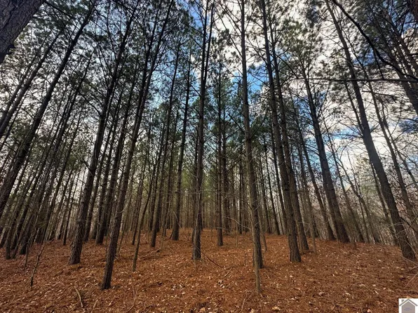 0 Dunbar Rd Lot 12, New Concord, KY 42076