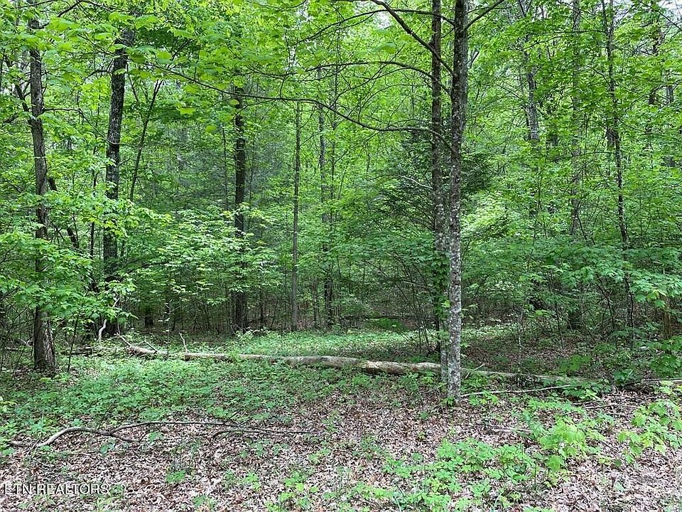 2nd image of 0 Long Creek Ln Lot 2