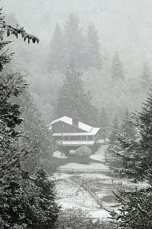 Looking at the house in the snow