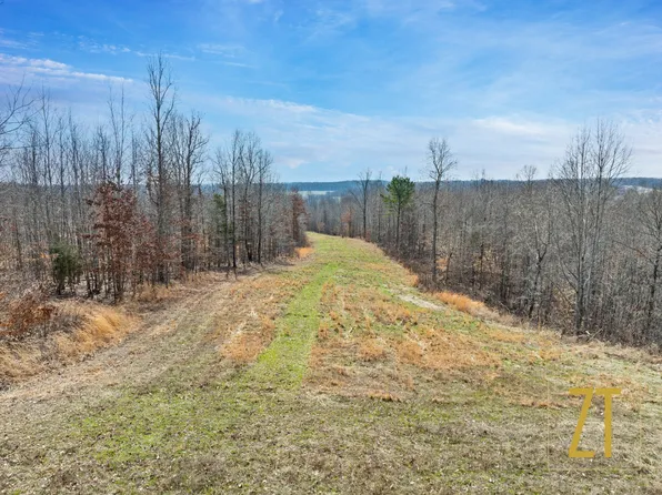 0 Green Shanty Rd, Tennessee Ridge, TN 37178