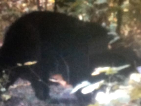 3rd image of 1 S 4582nd Rd