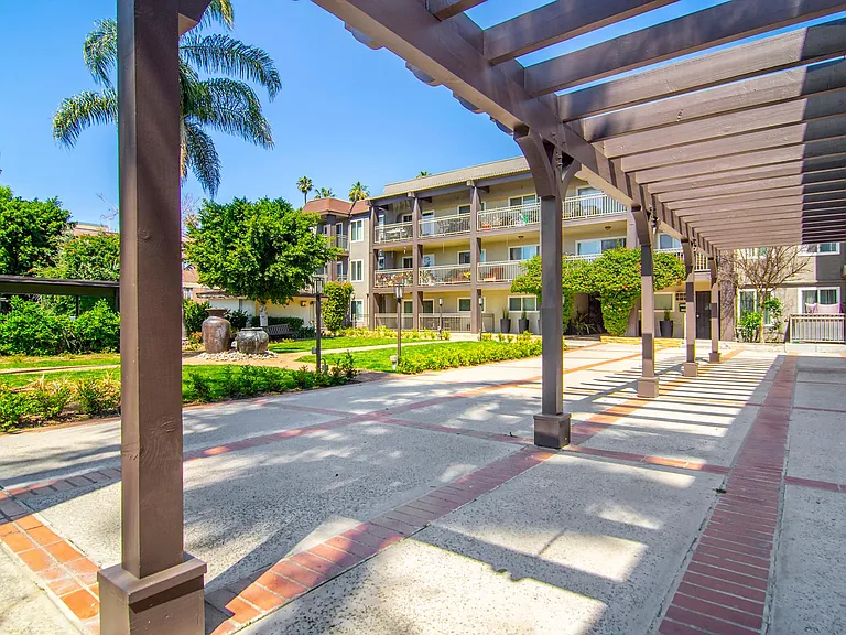 Olive Tree Apartments — Photo 10