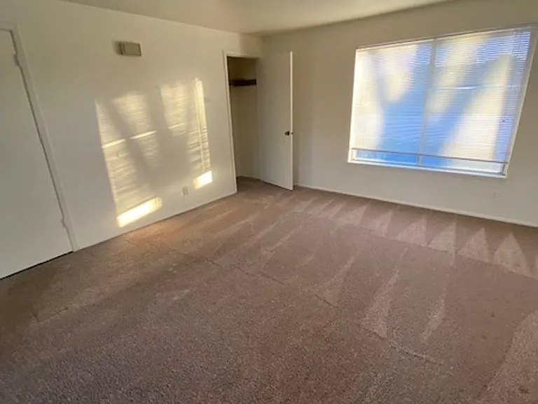 174 Colby Court Ln — Photo 7