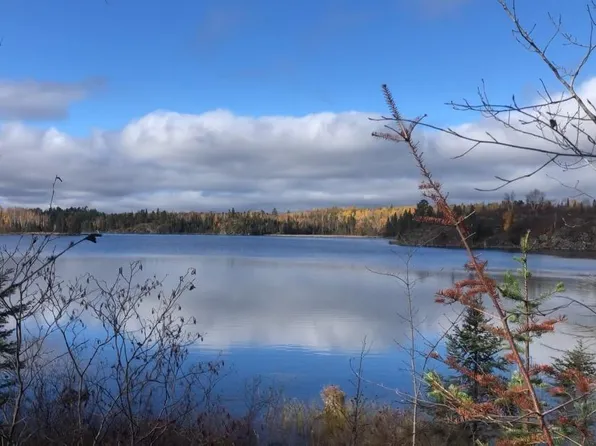 Xxx Canadian Border Rd, Ely, MN 55731