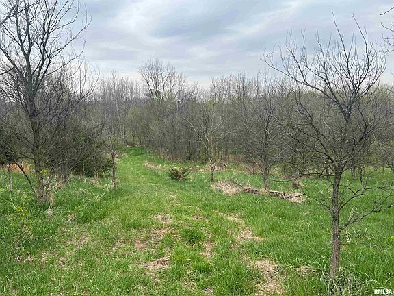 4th image of Flower Creek Rd