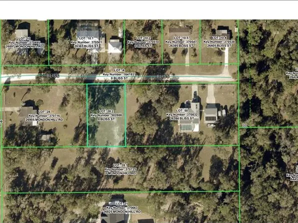 26374 BLISS STREET, BROOKSVILLE, FL 34602
