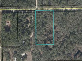 NE 272nd Ave LOT 98, Old Town, FL 32680