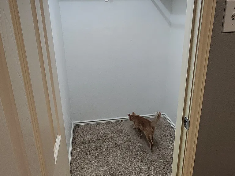 5817 Paloma Blanca Dr — Photo 2