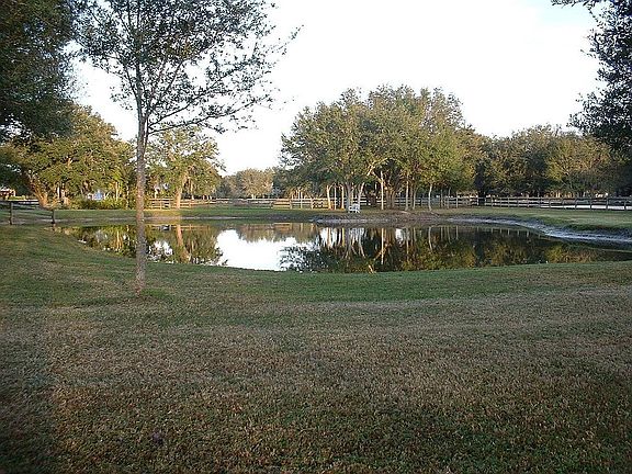 Looking east across pond.