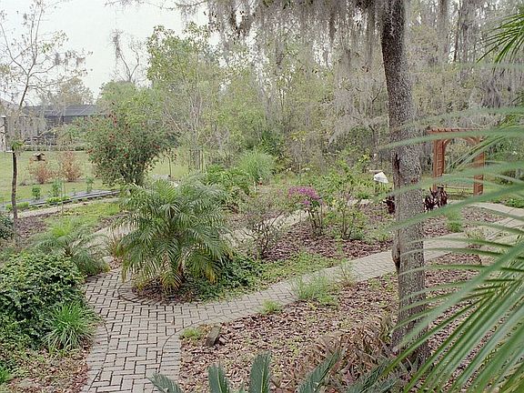 backyard right