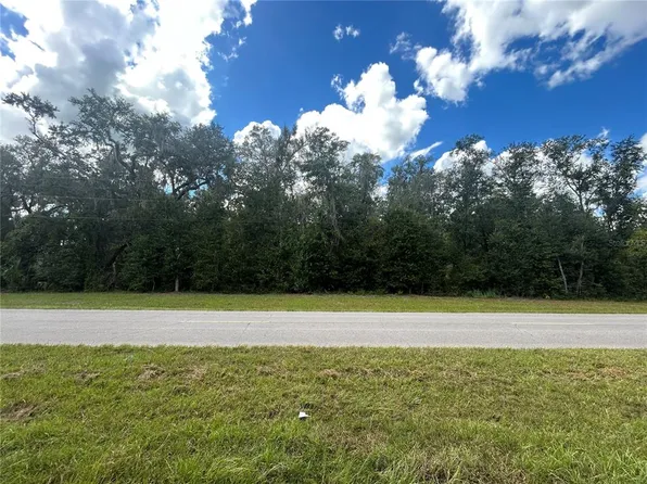 TBD CR 337 LOT 29, MORRISTON, FL 32668