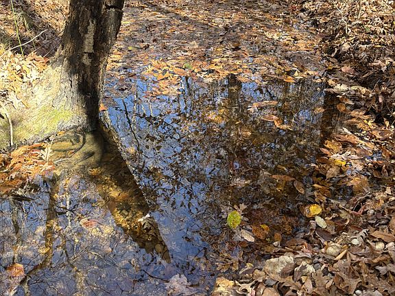 2nd image of 1212 Second Creek Rd