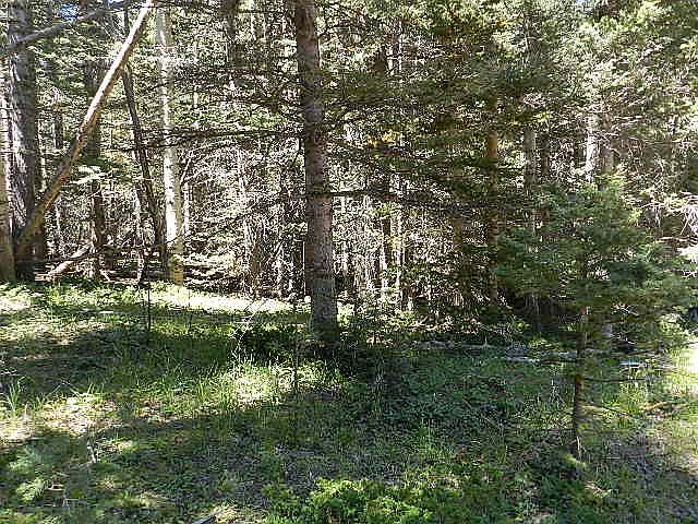 1st image of 3074 Henderson Dr