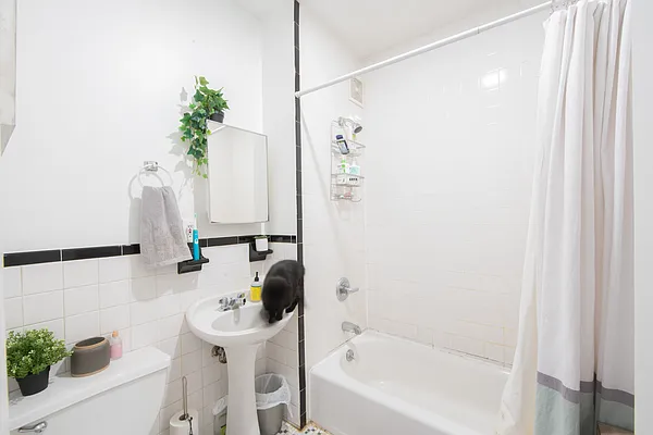 Rented by Corcoran | media 8