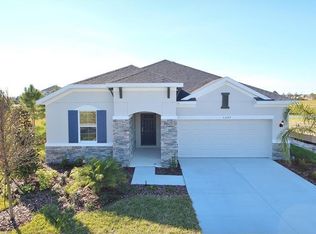 33205 Shadow Branch Ln, Wesley Chapel, FL 33545