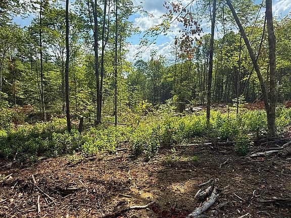 5th image of Lot 9-3 Roxbury Road