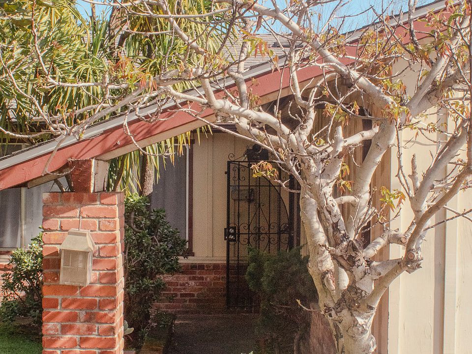 Foliage-lined path to the front door.