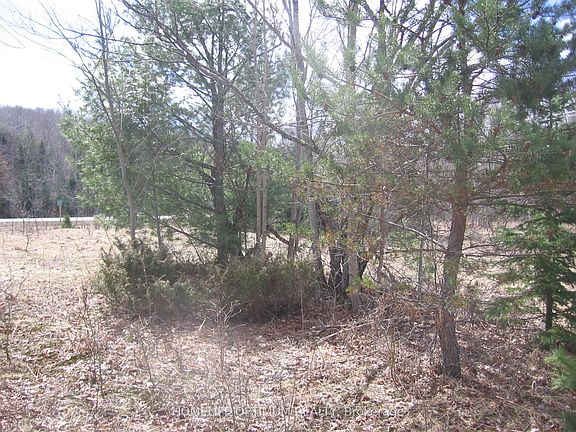 4th image of Norley Dr