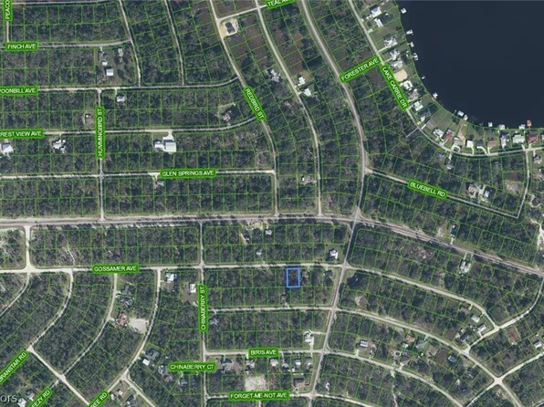 3375 Gossamer Ave, Lake Placid, FL 33852