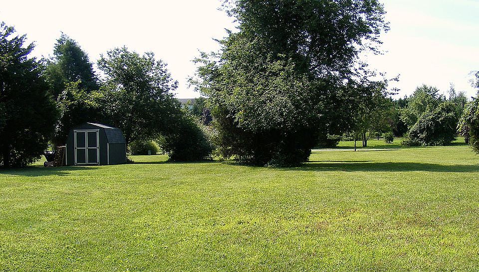 Rear lawn