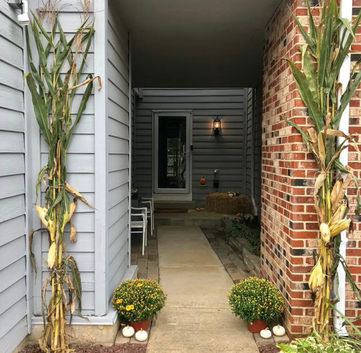 3 bed, 2.5 bath, 1750 sqft, $2,600 — Photo 2