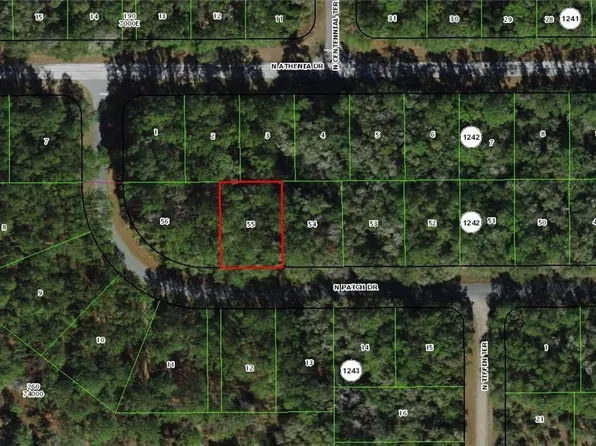 9281 N Patch Dr, Citrus Springs, FL 34434