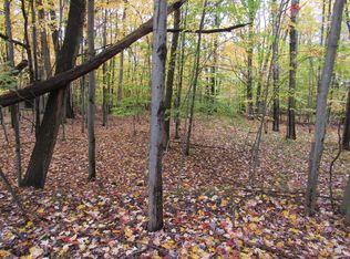 8454 Small Ave, Stanwood, MI 49346