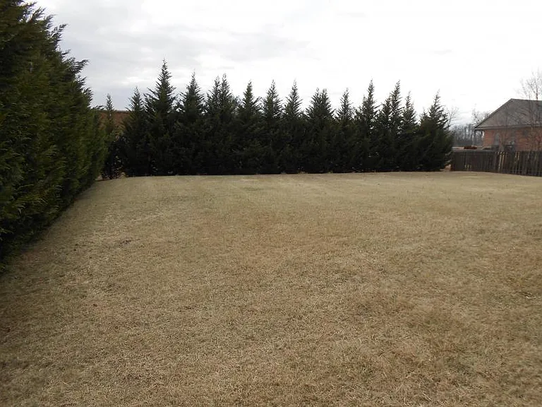 112 Jersey Ct — Photo 11
