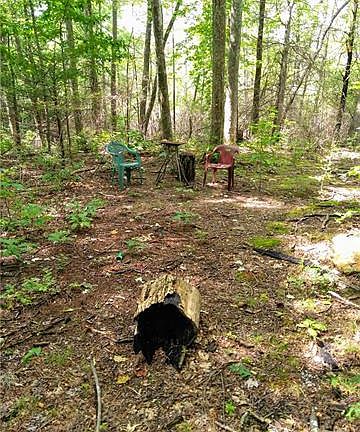 3rd image of 4 Weedy Ln