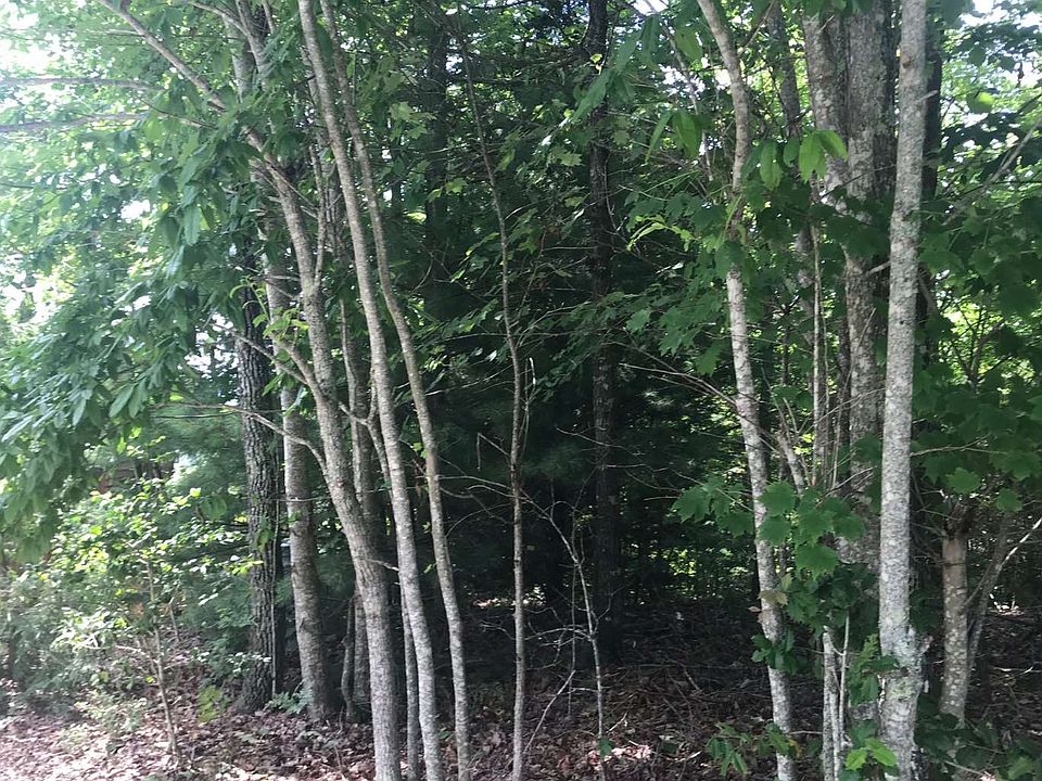 2nd image of 6 Mountain Pass Dr