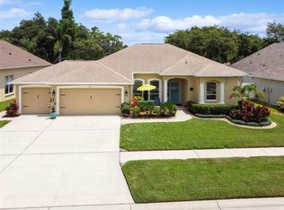 1113 Sweet Breeze Dr, Valrico, FL 33594
