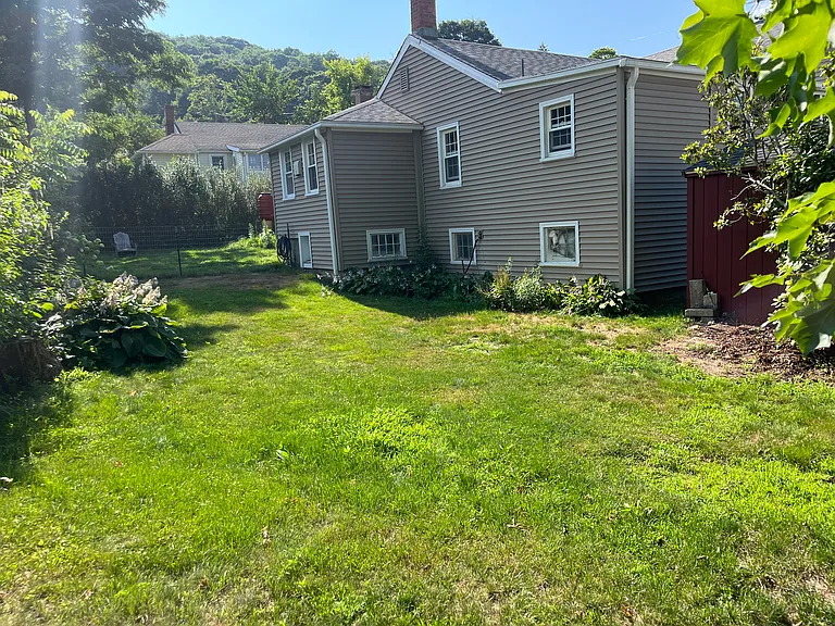 Back yard