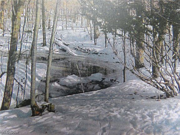4th image of 6745 Case Rd