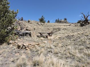 237 Rocky Mountain Ct, Hartsel, CO 80449