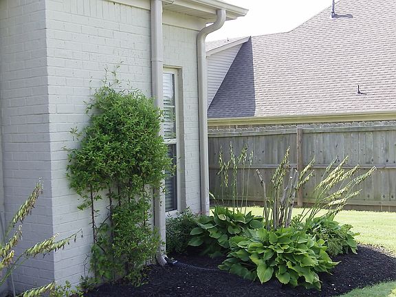 5th image of 1335 Notting Hill Dr W