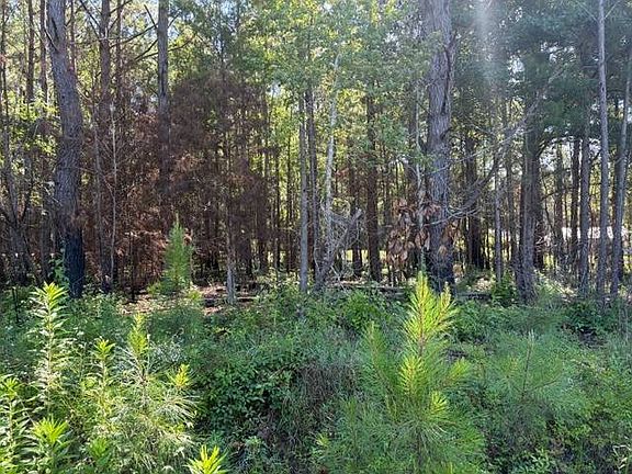 3rd image of 124 Hawkins Rd