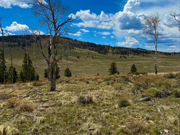 230 Castle Circle, Powderhorn, CO 81243