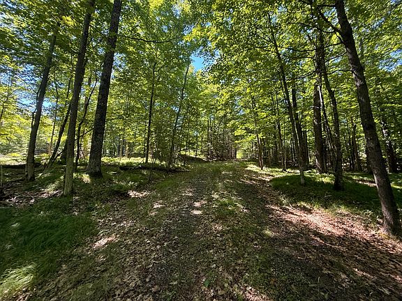 3rd image of 8017 Old Highway 51 Rd