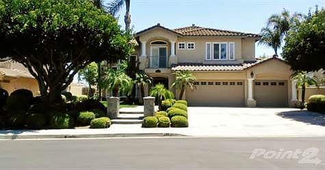 Front yard Landscaping