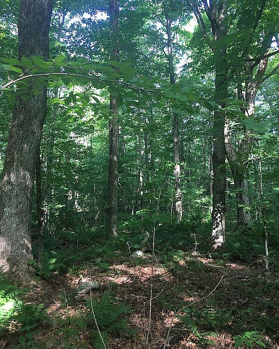 1st image of Old Abbey Ln W