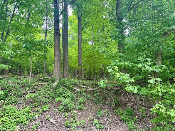 0 Warner Hill Rd #15, South Wales, NY 14139