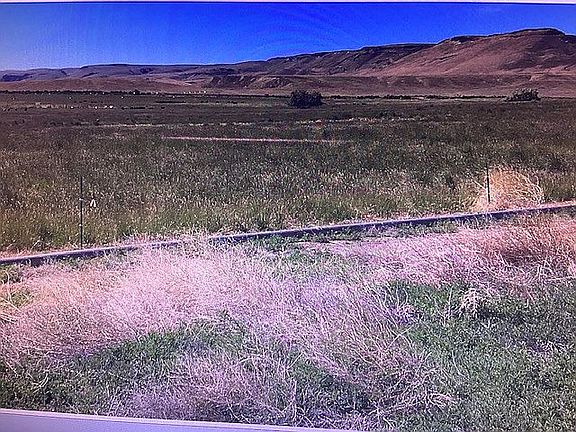 3rd image of 2051 Thompson Rd