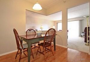 5th image of 5000 Oakton St #1509
