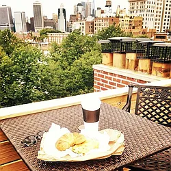 Rented by Westminster Management