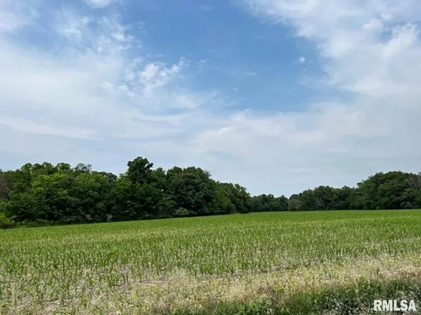 787P E County Road 2570, Nauvoo, IL 62354