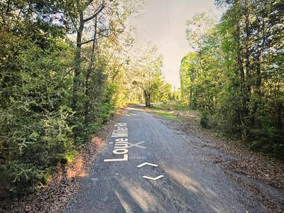 0 Louie Miller Rd, Ponce De Leon, FL, 32455