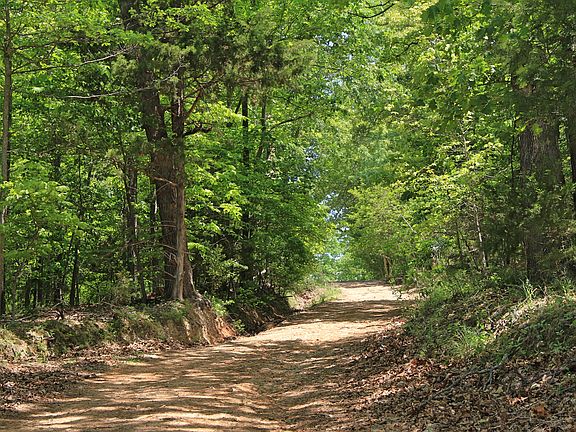Golf Cart/Vehicle Access 