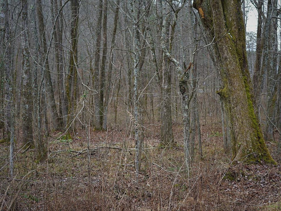 2nd image of 0 Bowater Rd S
